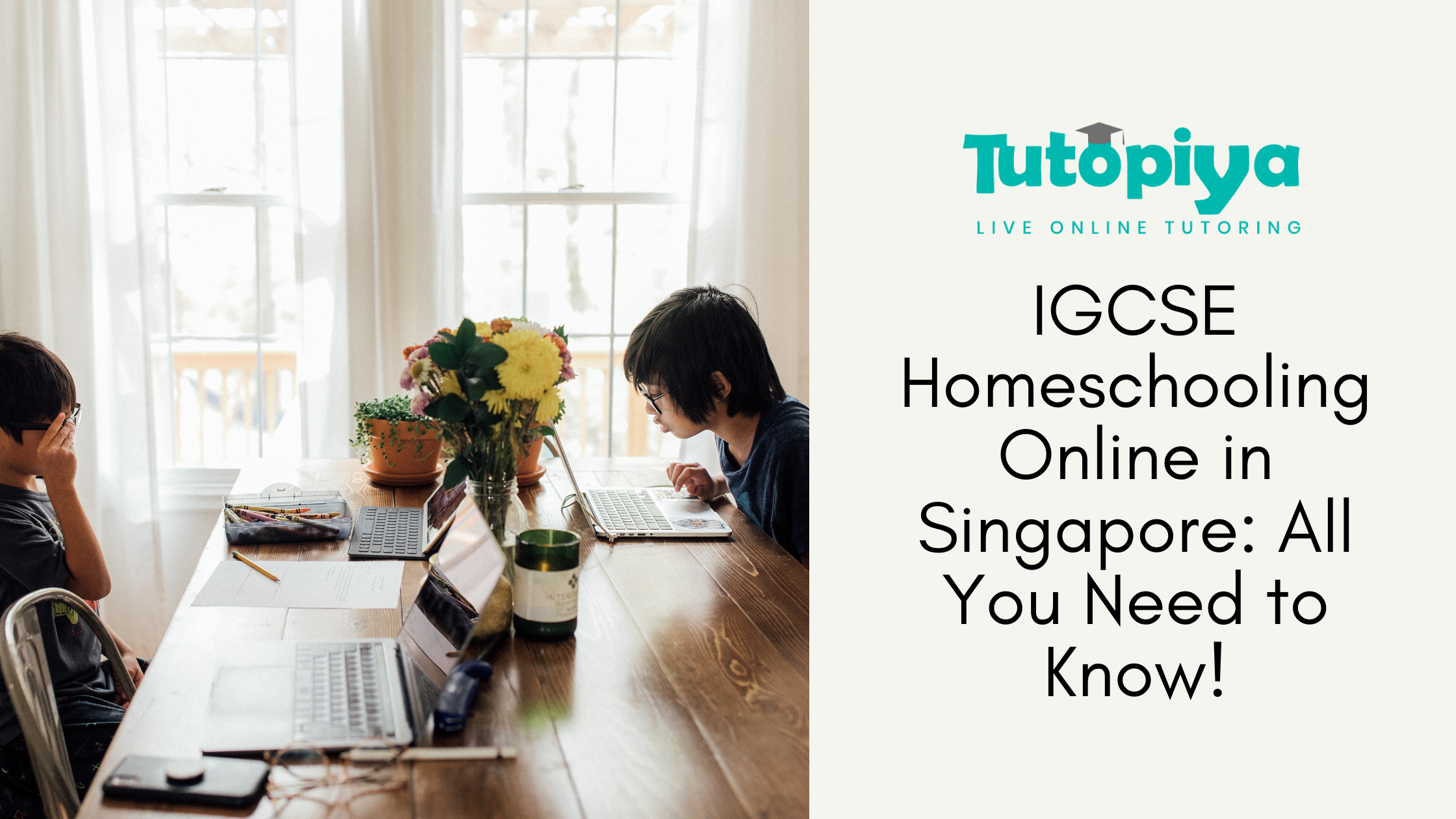 igcse homeschooling online