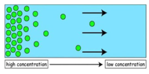 Diffusion