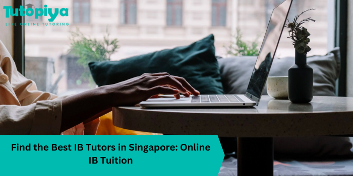 Find the Best IB Tutors in Singapore