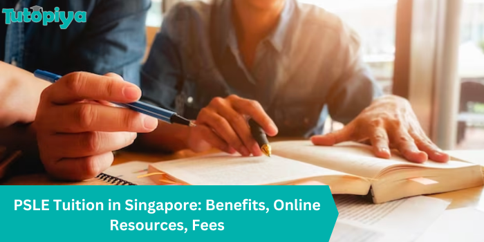 PSLE Tuition in Singapore Benefits, Online Resources, Fees